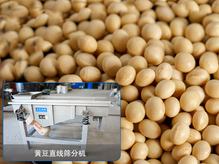 大豆秋葵视频在线播放高清分机