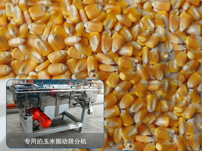 玉米秋葵黄色视频看污